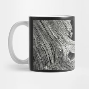 Take Time to See Mug